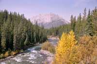 Maligne Lake Road, Jasper National Park, Alberta, Canada CM-13