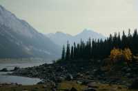 Maligne Lake Road, Medicine Lake, Jasper National Park, Alberta, Canada CM-11