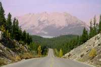 Maligne Lake Road, Jasper National Park, Alberta, Canada CM-10
