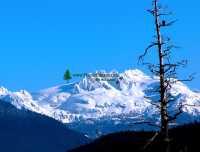 Mamquam Glacier, Bald Eagle, Squamish, British Columbia, Canada 01