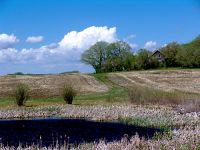 Minnedosa Farm, Manitoba, Canada 22