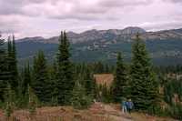Manning Park, British Columbia, Canada CM11-23
