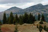 Manning Park, British Columbia, Canada CM11-19