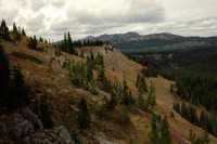 Manning Park, British Columbia, Canada CM11-18