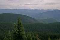 Manning Park, British Columbia, Canada CM11-17