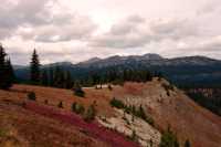 Manning Park, British Columbia, Canada CM11-16