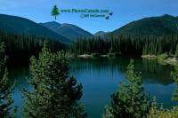 Highlight for Album: Manning Provincial Park, British Columbia, Canada - British Columbia Stock Photos