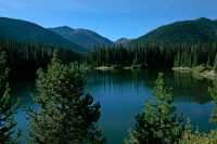 Manning Park, British Columbia, Canada CM11-12