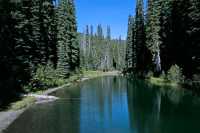 Manning Park, British Columbia, Canada CM11-10