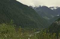 Mica Dam Region, Columbia River, British Columbia, Canada CM11-006