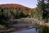 Mont Tremblant National Park, Quebec, Canada CM11-06