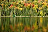 Highlight for Album: Mont Tremblant National Park Photos, Quebec, Canada, Stock Photos of Canada, Banque d'images des Provinces