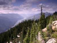 Columbia River, Mount Revelstoke National Park, British Columbia, Canada CM11-11