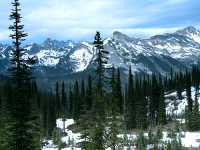 Mount Revelstoke National Park, British Columbia, Canada CM11-13
