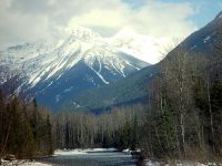 Mount Revelstoke National Park, British Columbia, Canada 08