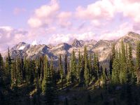 Mount Revelstoke National Park, British Columbia, Canada 04