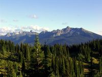 Mount Revelstoke National Park, British Columbia, Canada 03
