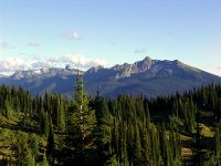 Mount Revelstoke National Park, British Columbia, Canada 03
