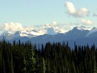 Mount Revelstoke National Park, British Columbia, Canada 01