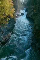 Mount Robson Park, Fraser River, September 2010, British Columbia, Canada CM11-12