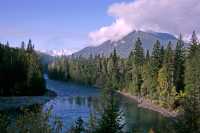 Mount Robson Park, Fraser River, September 2010, British Columbia, Canada CM11-13
