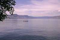 naramata_bc_1207.jpg