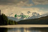 Highlight for Album: Nass Valley Photos, British Columba Stock Photos