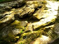 Thorsen Creek Petroglyphs, Bella Coola, British Columbia, Canada 18