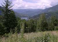 Nelson, West Kootenays, British Columbia, Canada CM11-003
