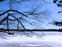 Along the Fundy Trail, New Brunswick, Canada 14