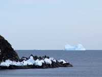 Iceberg Alley, Newfoundland, Canada 20
