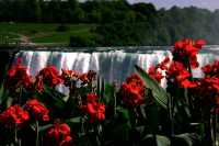 Niagara Falls, Ontario, Canada CM-1244