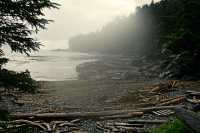 Ninstints Sheltered Bay, Sgang Gwaay, UNESCO World Heritage Site, Gwaii Haanas National Park Reserve, Haida Gwaii, British Columbia, Canada CM11-27