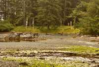 Ninstints Haida Village Remains, Anthony Island, Sgang Gwaay, UNESCO World Heritage Site, Gwaii Haanas National Park Reserve,  Haida Gwaii, British Columbia, Canada CM11-07
