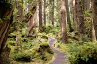 Ninstints, Sgang Gwaay, UNESCO World Heritage Site, Gwaii Haanas National Park Reserve, Haida Gwaii, British Columbia, Canada CM11-24