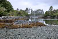 Ninstints Sheltered Bay, Sgang Gwaay, UNESCO World Heritage Site, Gwaii Haanas National Park Reserve, Haida Gwaii, British Columbia, Canada CM11-26