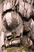 Ninstints Totem Pole, Sgang Gwaay, UNESCO World Heritage Site, Gwaii Haanas National Park Reserve, Haida Gwaii, British Columbia, Canada CM11-15