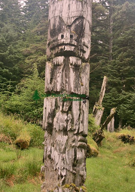 Ninstints Totem Pole, Sgang Gwaay, UNESCO World Heritage Site, Gwaii Haanas National Park Reserve, Haida Gwaii, British Columbia, Canada CM11-17