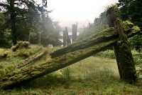 Ninstints Village House Remains, Sgang Gwaay, UNESCO World Heritage Site, Gwaii Haanas National Park Reserve, Haida Gwaii, British Columbia, Canada CM11-08