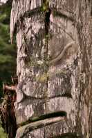 Ninstints Totem Pole, Sgang Gwaay, UNESCO World Heritage Site, Gwaii Haanas National Park Reserve, Haida Gwaii, British Columbia, Canada CM11-19