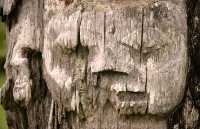 Ninstints Totem Pole, Sgang Gwaay, UNESCO World Heritage Site, Gwaii Haanas National Park Reserve, Haida Gwaii, British Columbia, Canada CM11-20