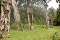 Ninstints Totem Poles, Anthony Island, Sgang Gwaay, UNESCO World Heritage Site, Gwaii Haanas National Park Reserve, Haida Gwaii, British Columbia, Canada CM11-05