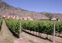 Nk'mip Resort, Osoyoos, British Columbia CM11-020