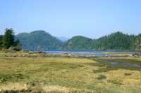 Fair Harbour, Vancouver Island CM11-014