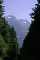Zeballos Region, Vancouver Island CM11-002