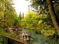 Liard River Hot Springs, British Columbia, Canada 23