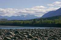 Skeena River, September 2010, British Columbia, Canada, CM11-008
