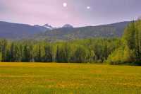 Terrace Region, British Columbia, Canada, CM11-05
