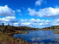 Ingraham Trail, Northwest Territories, Canada 16