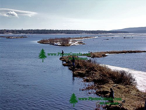 Fishing at Bucklaw, Nova Scotia, Canada 13